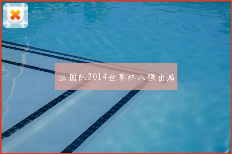 法国队2014世界杯八强出局