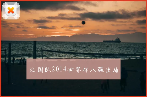 法国队2014世界杯八强出局